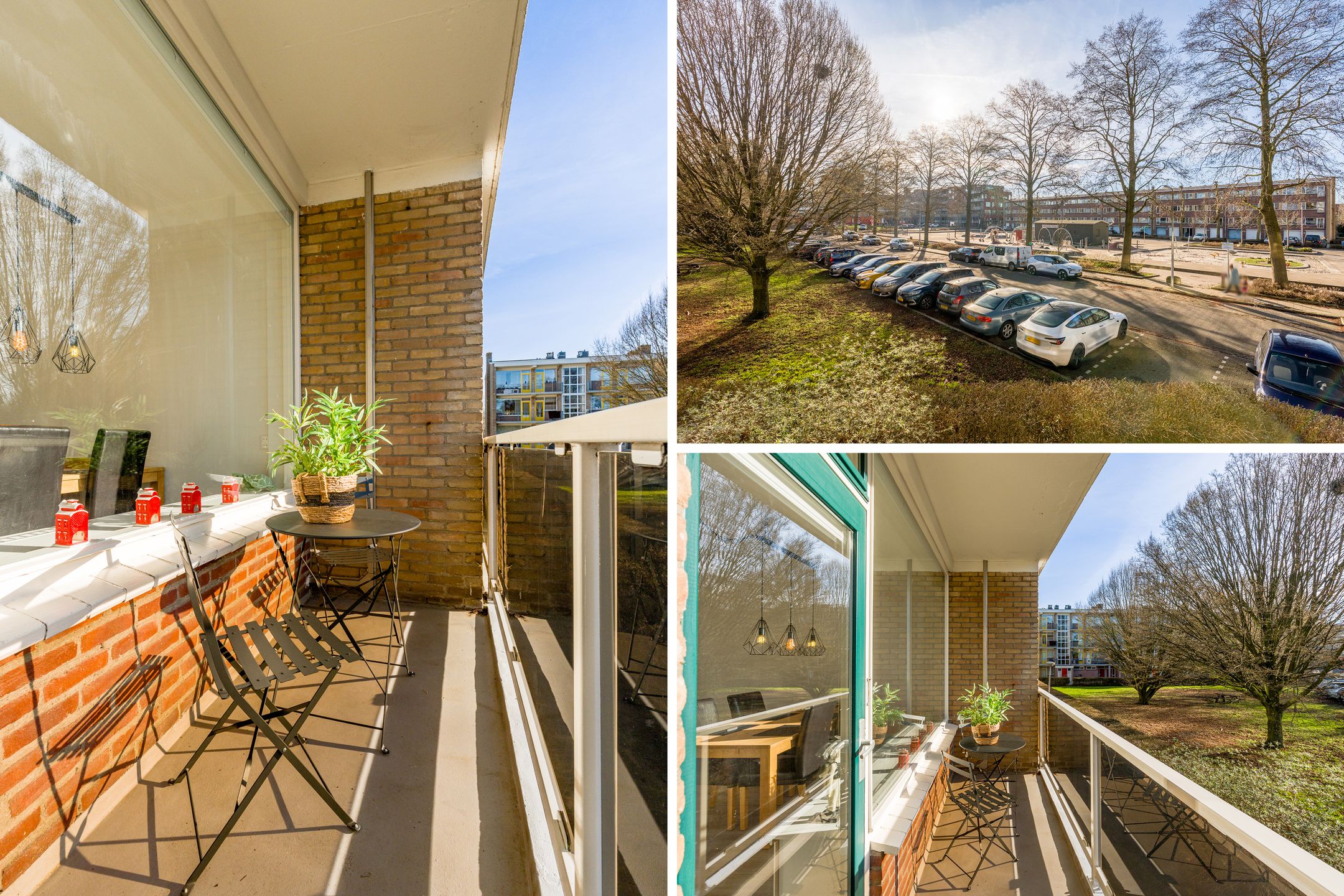 Photo 12 of van Markenplantsoen 150