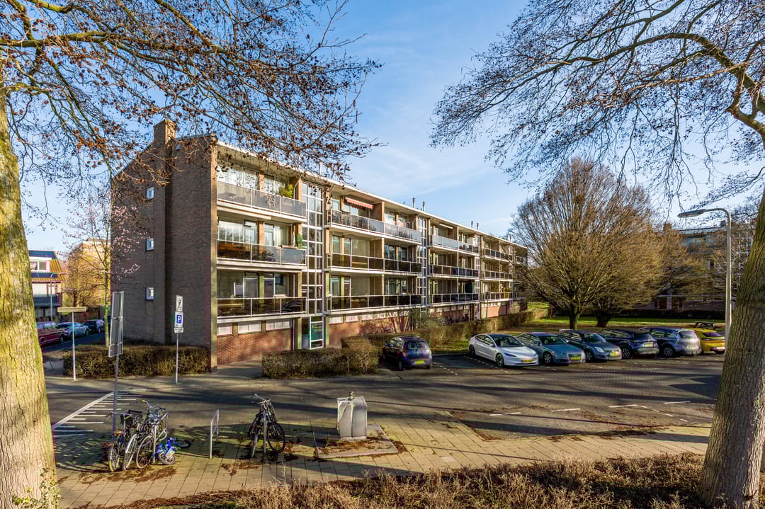 Photo 31 of van Markenplantsoen 150