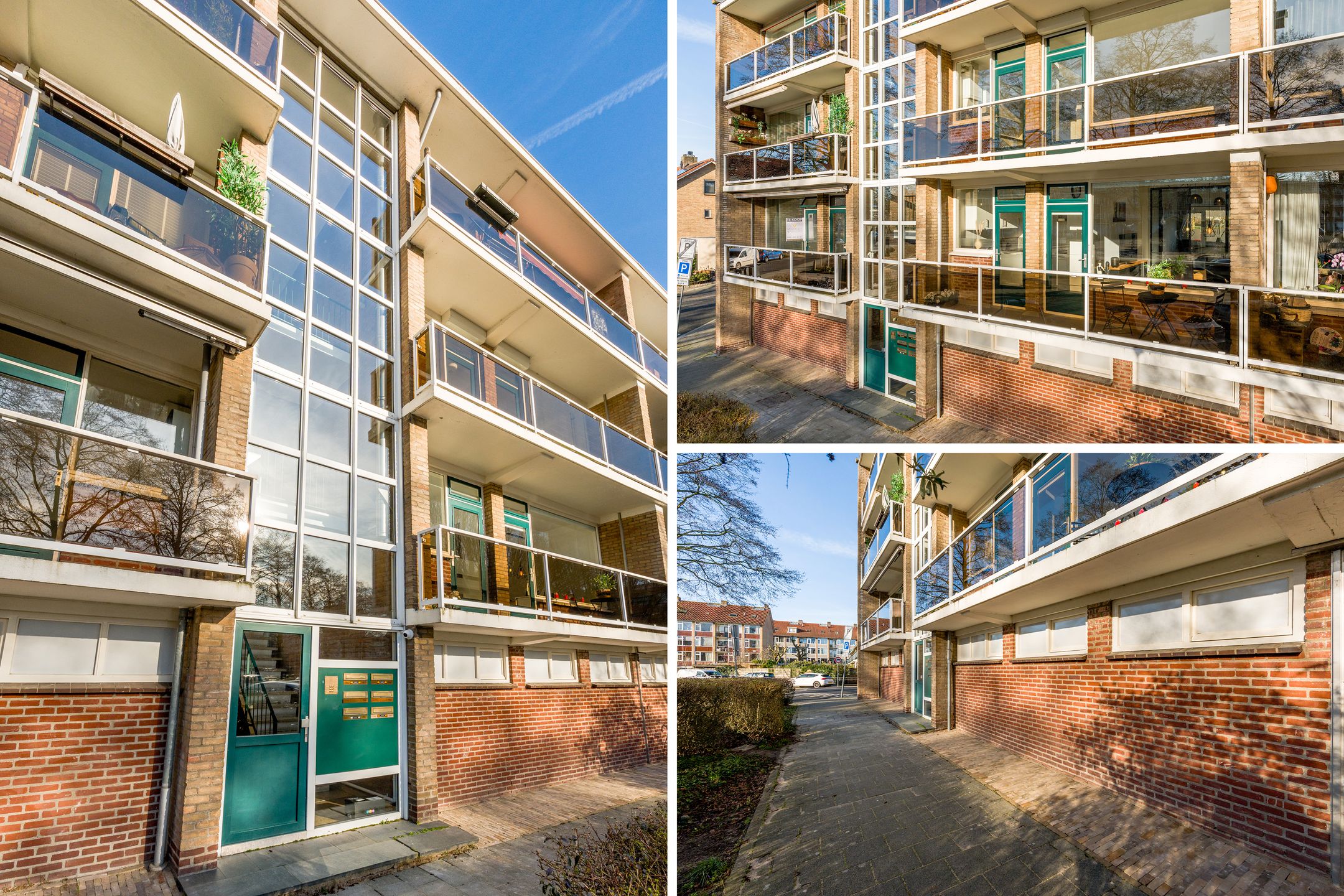 Photo 33 of van Markenplantsoen 150