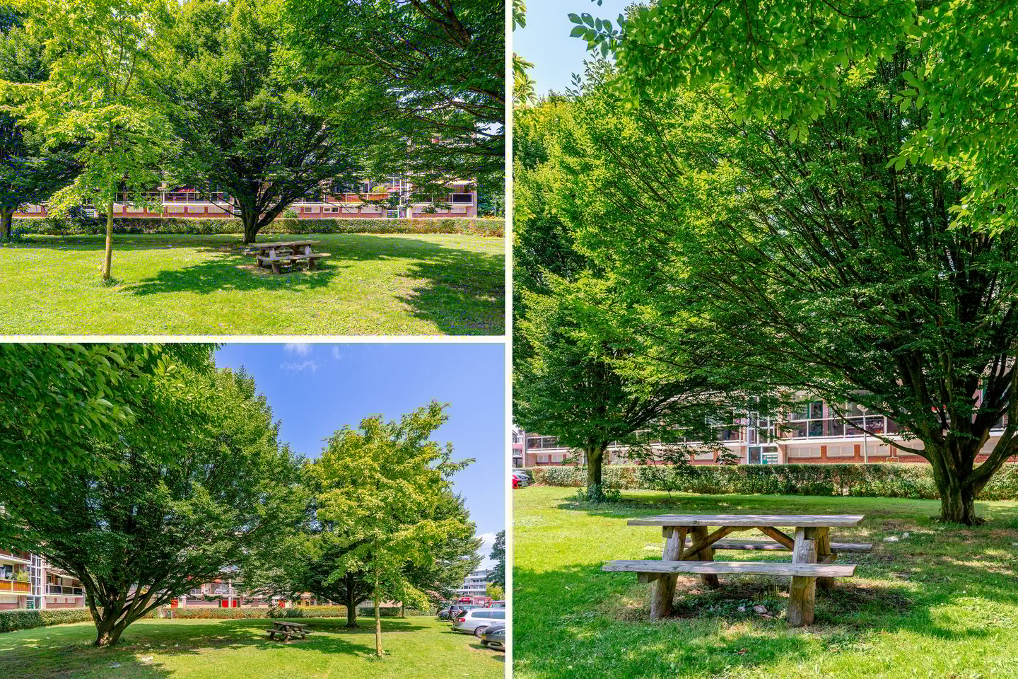 Photo 50 of van Markenplantsoen 150