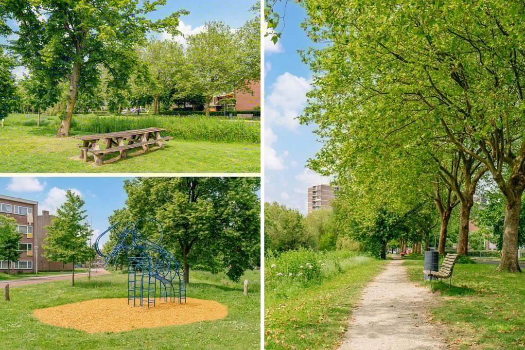 Photo 56 of van Markenplantsoen 150