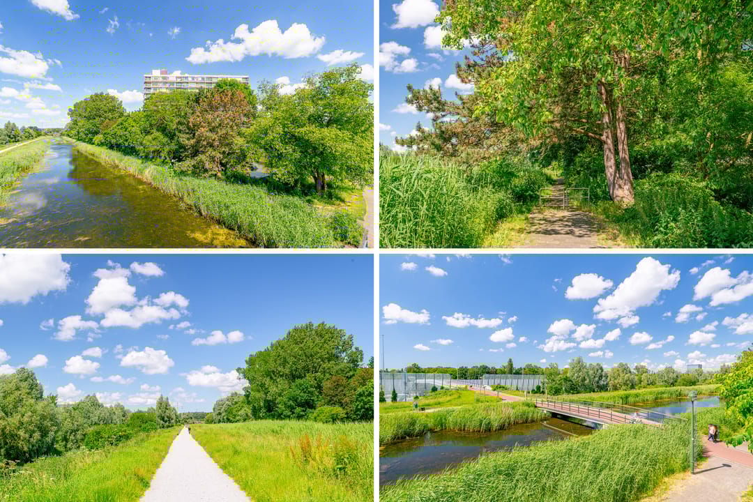 Photo 58 of van Markenplantsoen 150