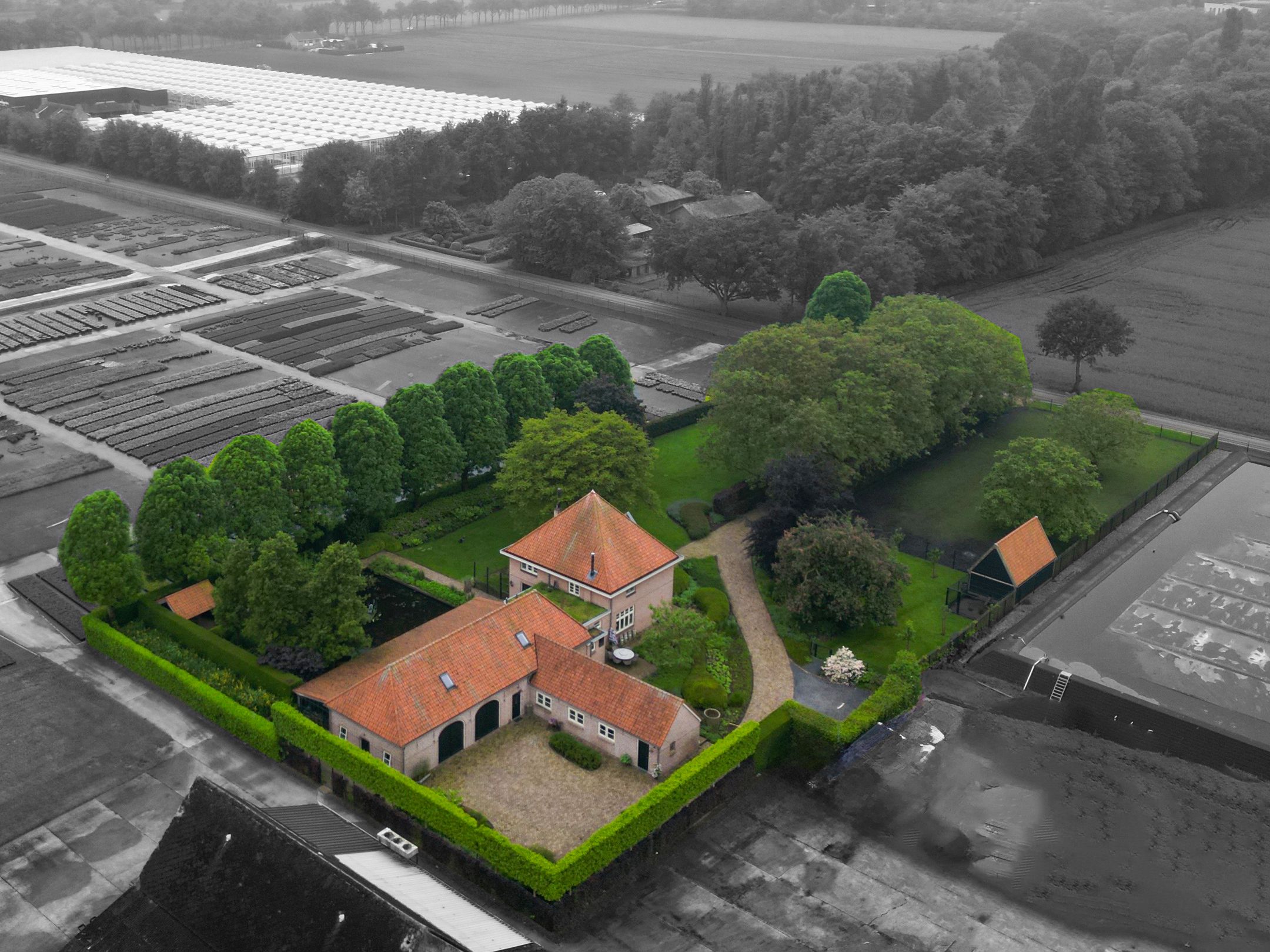 Foto 6 van Hellemonsdreef 8