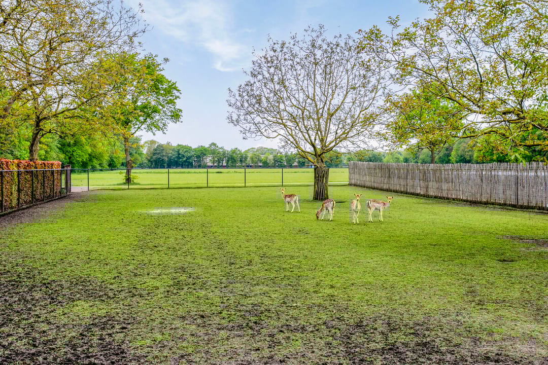 Foto 58 van Hellemonsdreef 8