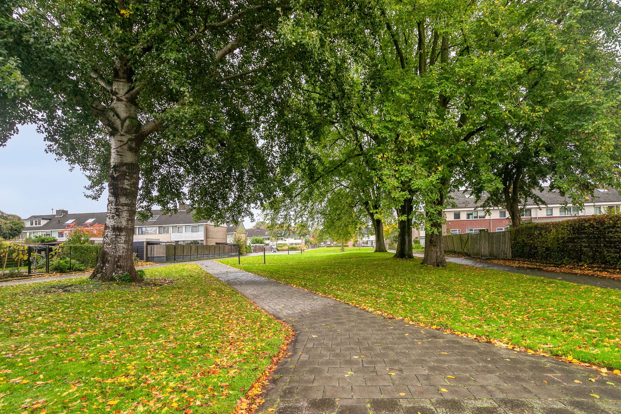 Foto 30 van De Grutto 119