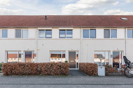 undefined main image