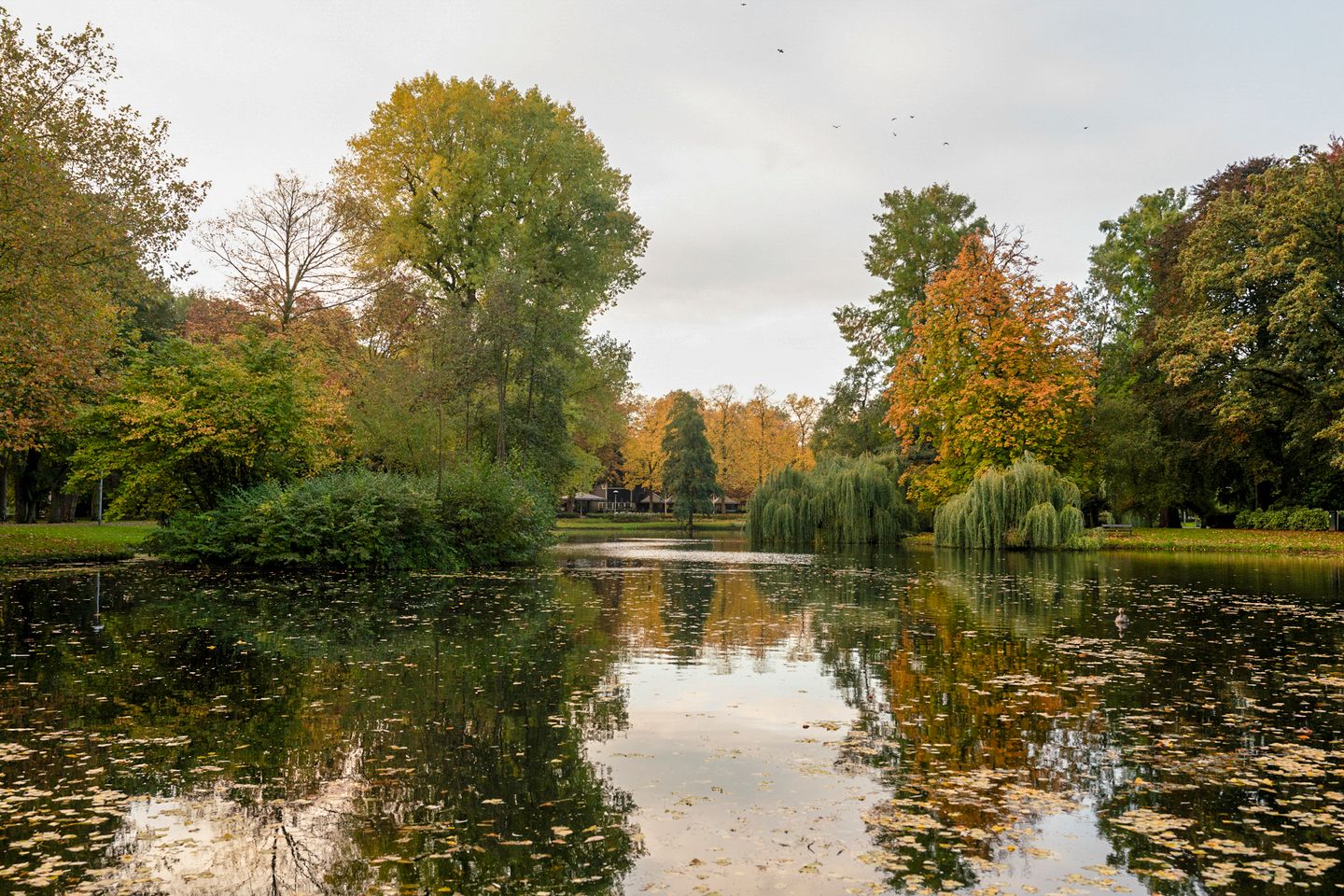 Foto 20 van Prins Hendriklaan 43-B