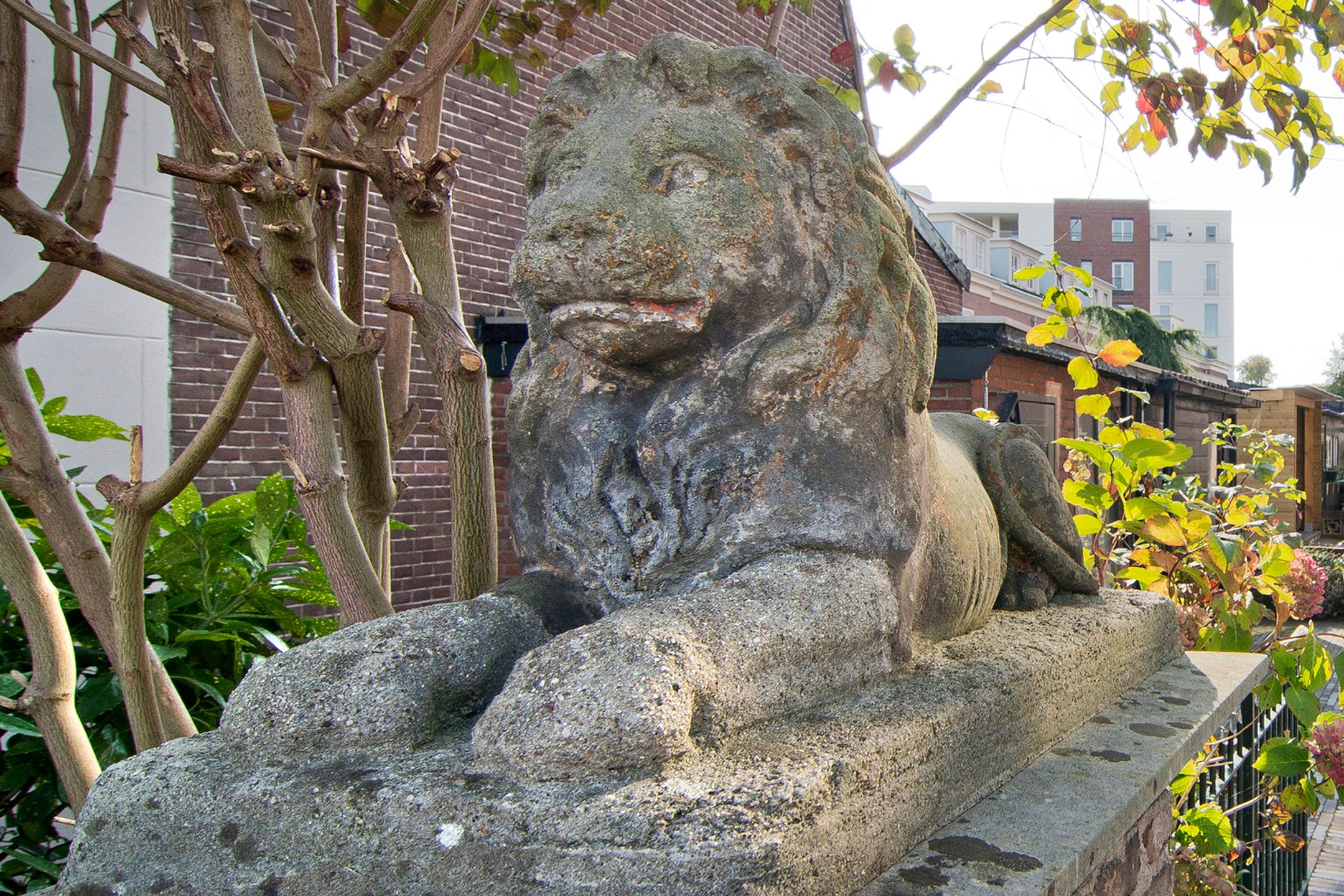 Photo 27 of Leeuwenhofje 6