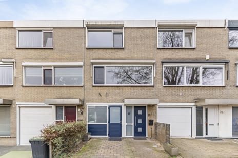 Piet Heynstraat thumbnail