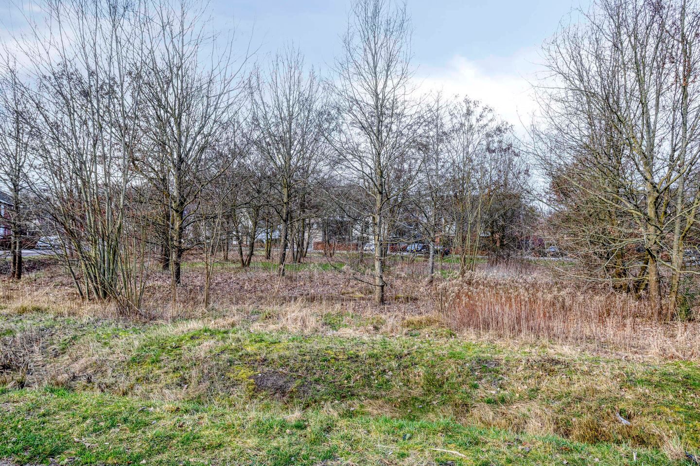 Foto 40 van Dudoklaan 10