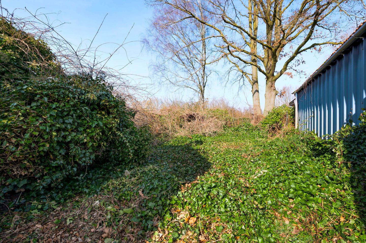 Foto 4 van Dorperweiden 37