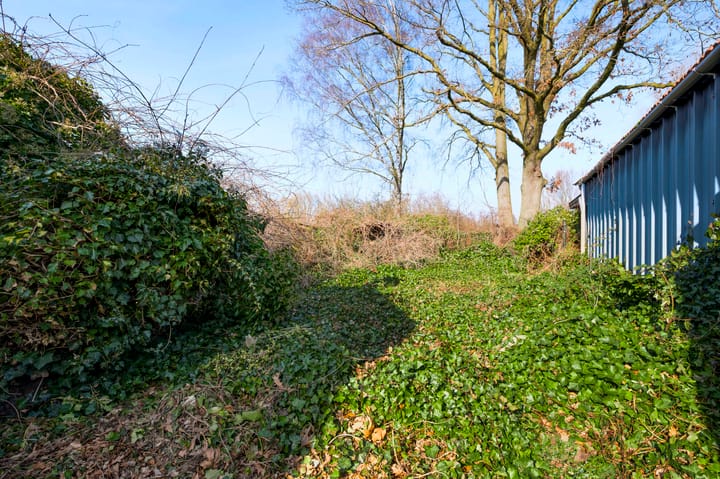 Photo 4 of Dorperweiden 37