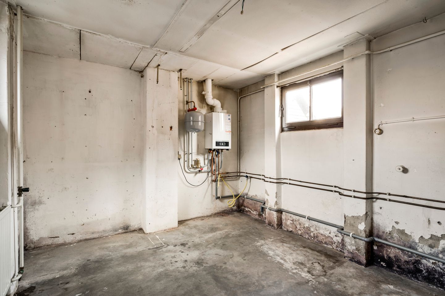 Foto 20 van Dorperweiden 37