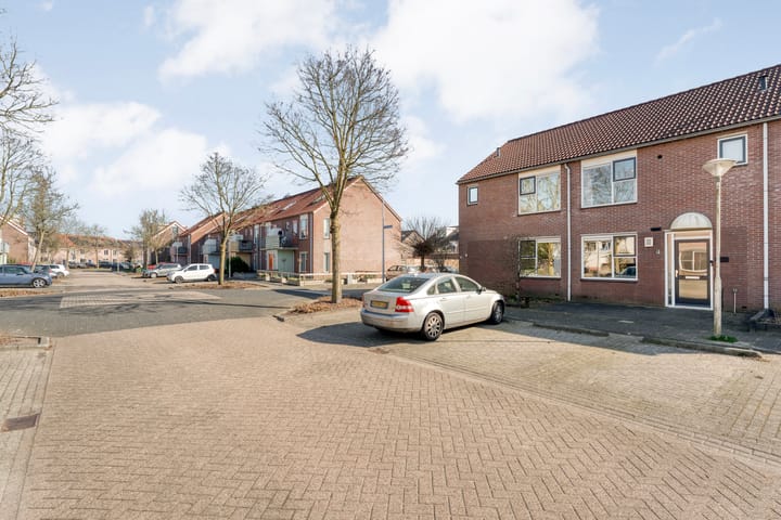 Foto 3 van Boterbloem 61