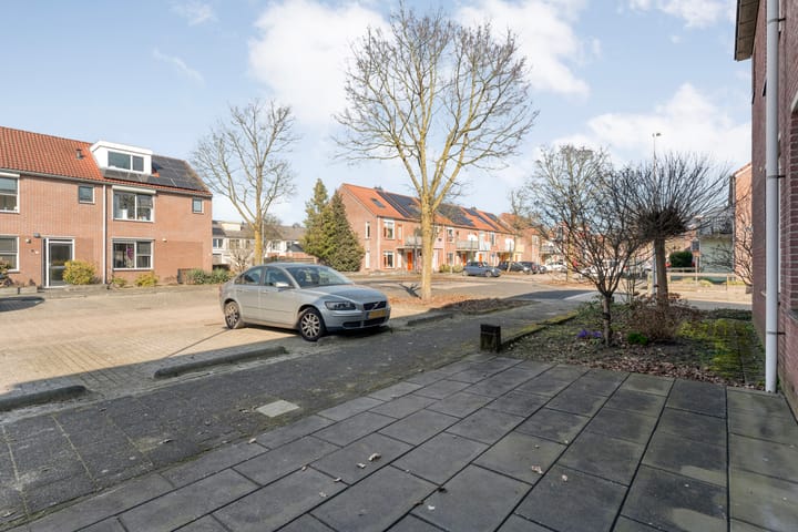 Foto 4 van Boterbloem 61