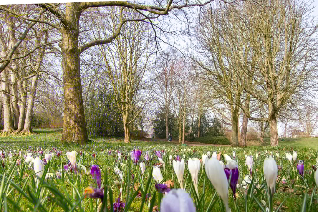 Photo 43 of Kruisweg 6-A