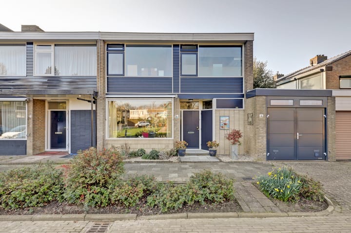 Frankensteyn 5 main image