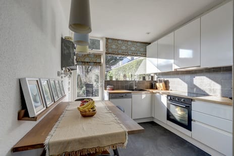 Frankensteyn 5 tertiary image