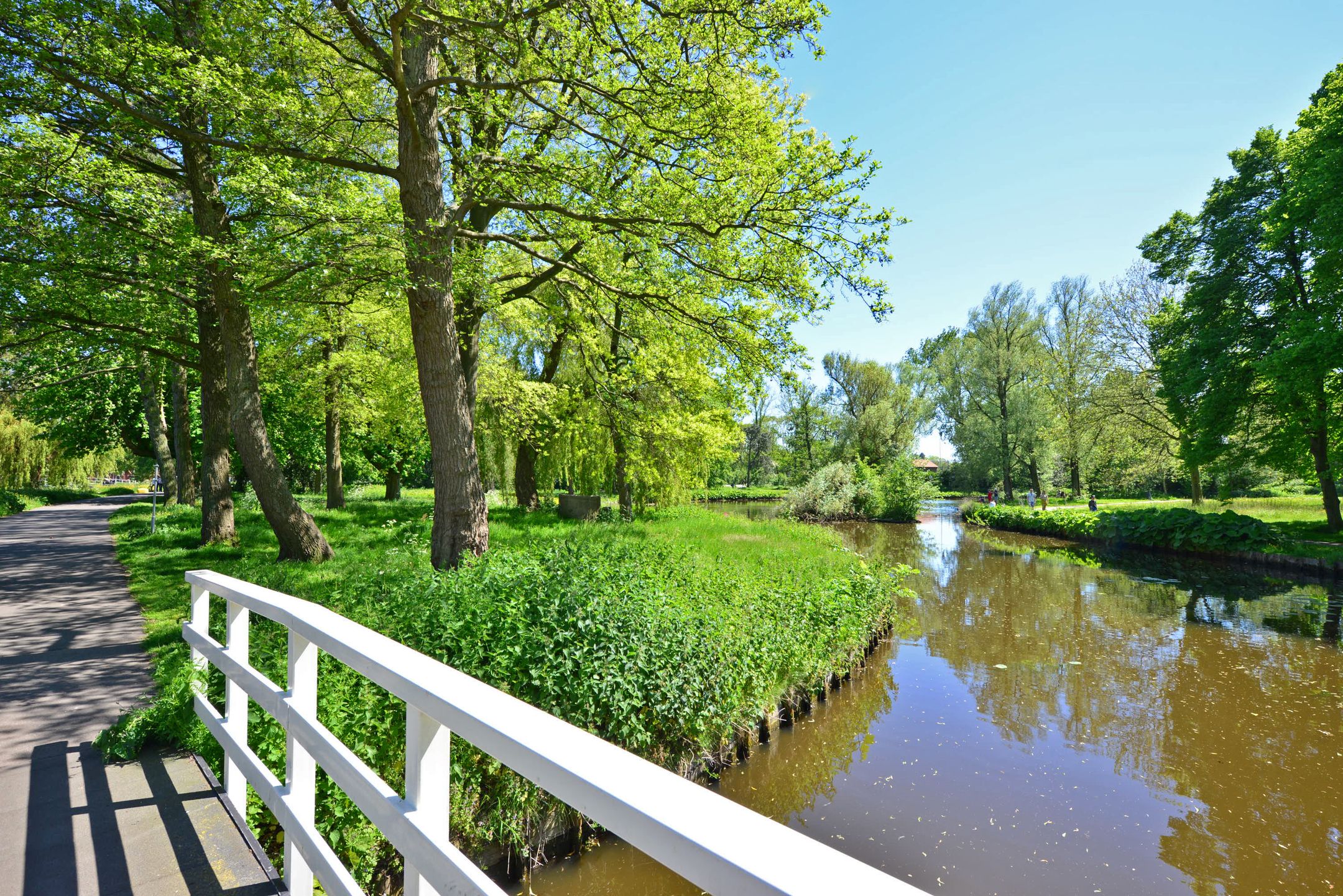 Photo 39 of Flevoplein 16