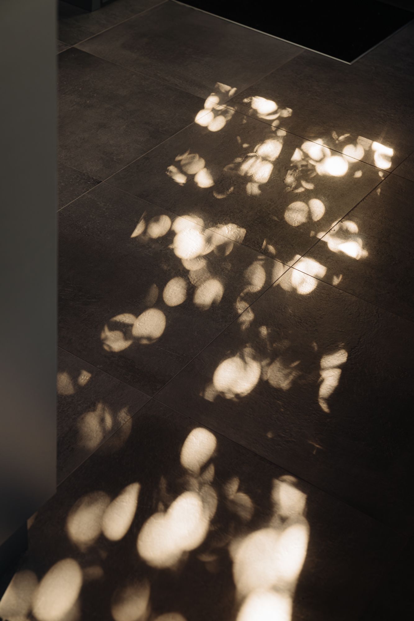 Foto 35 van Liduinalaan 9