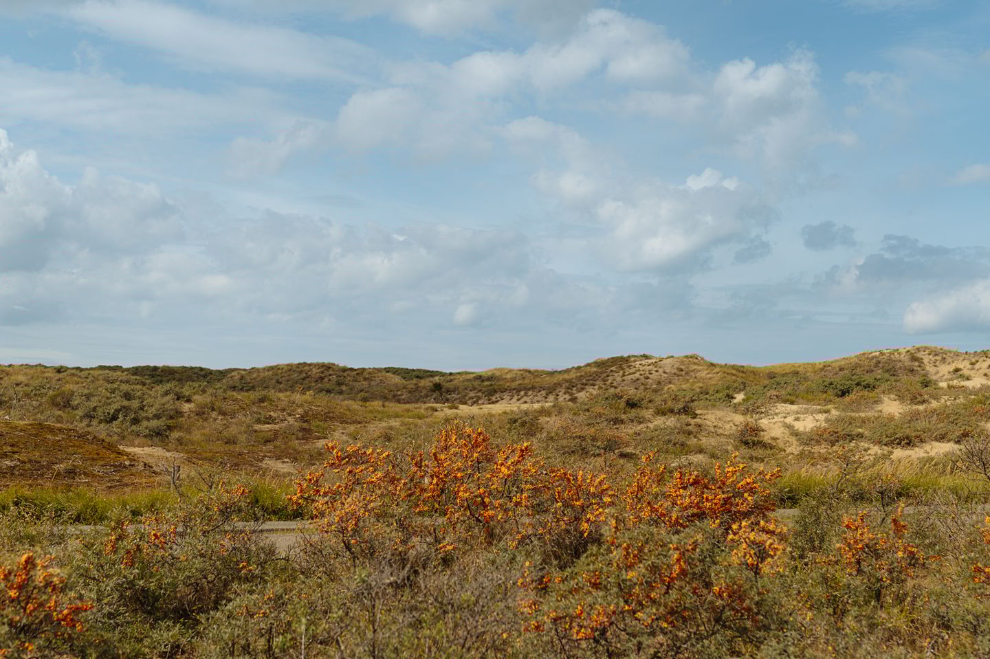 Foto 65 van Liduinalaan 9