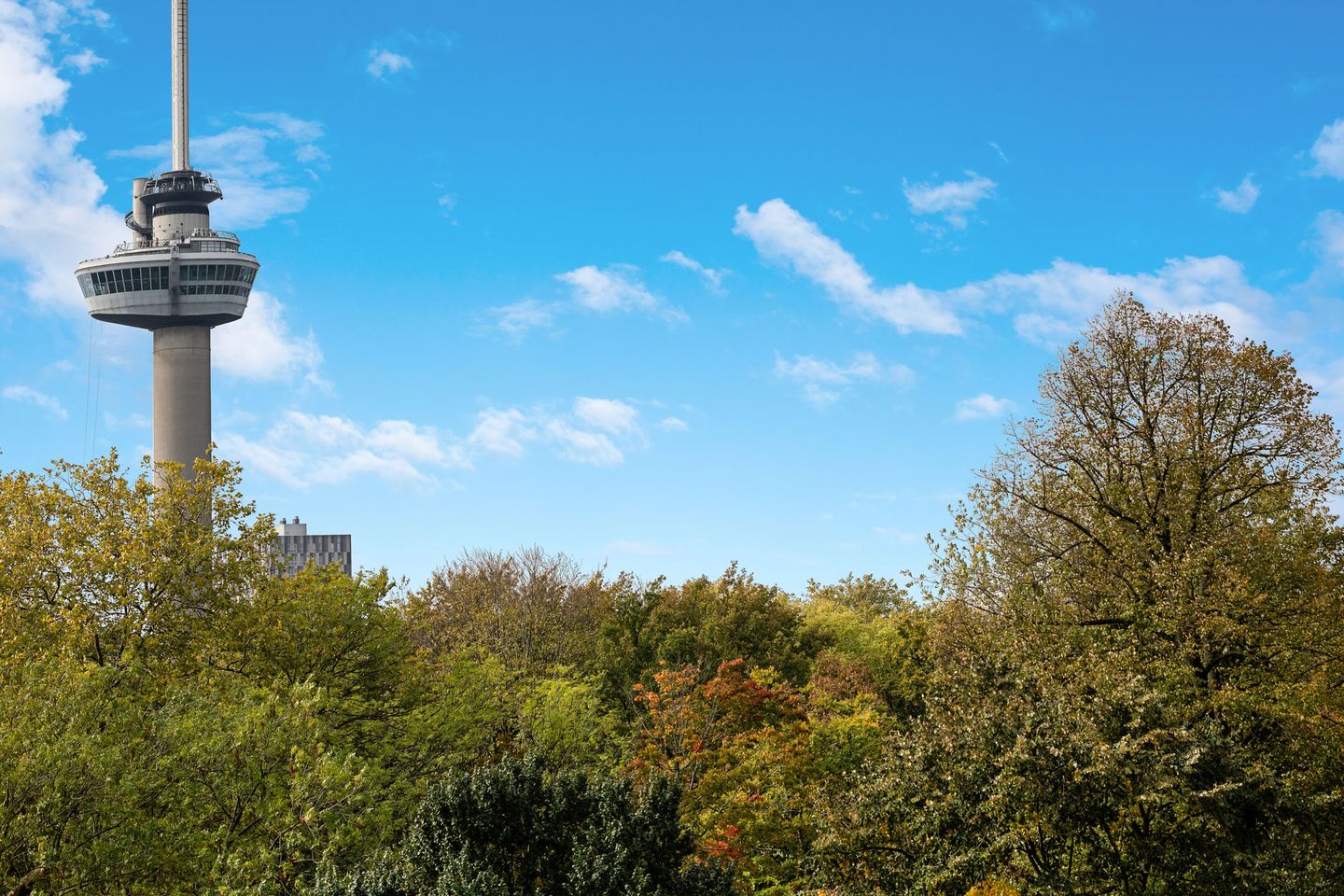 Foto 44 van Calandstraat 58-E