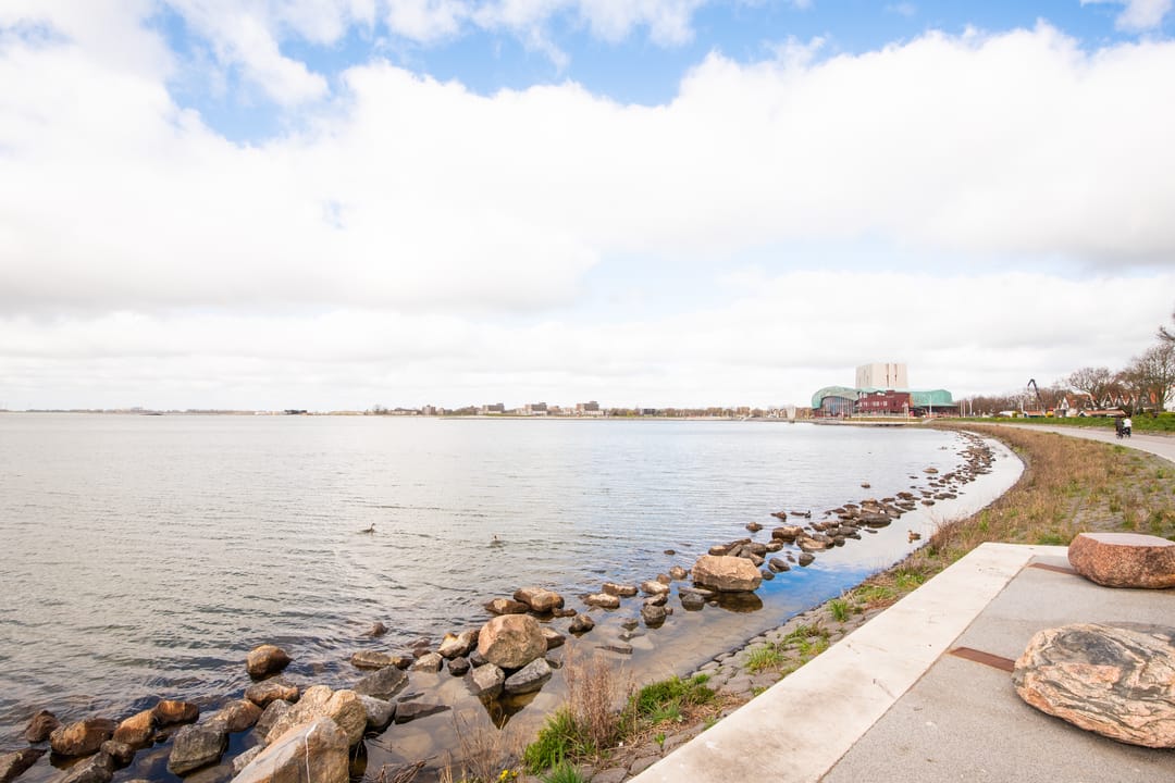 Foto 58 van Westerdijk 19