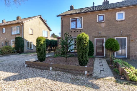 undefined main image