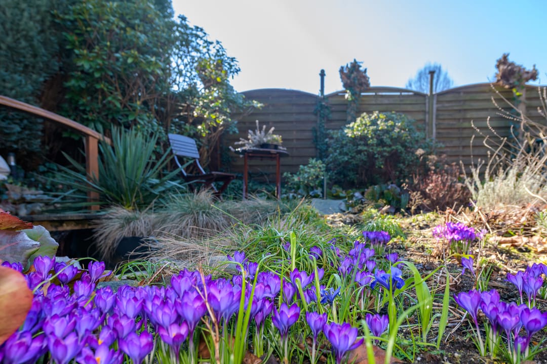 Foto 31 van Westenenkerweg 97