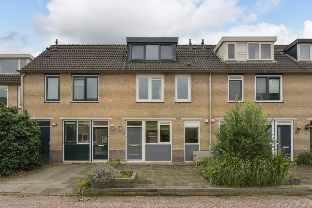 Foto 1 van Blauwe Zegge 56