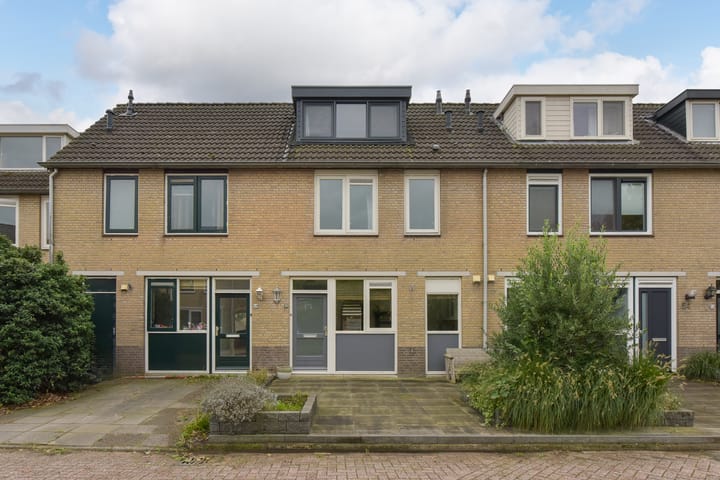 Blauwe Zegge 56 main image