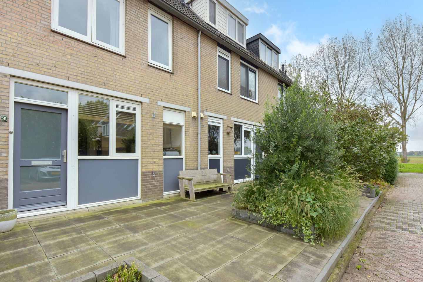 Foto 5 van Blauwe Zegge 56