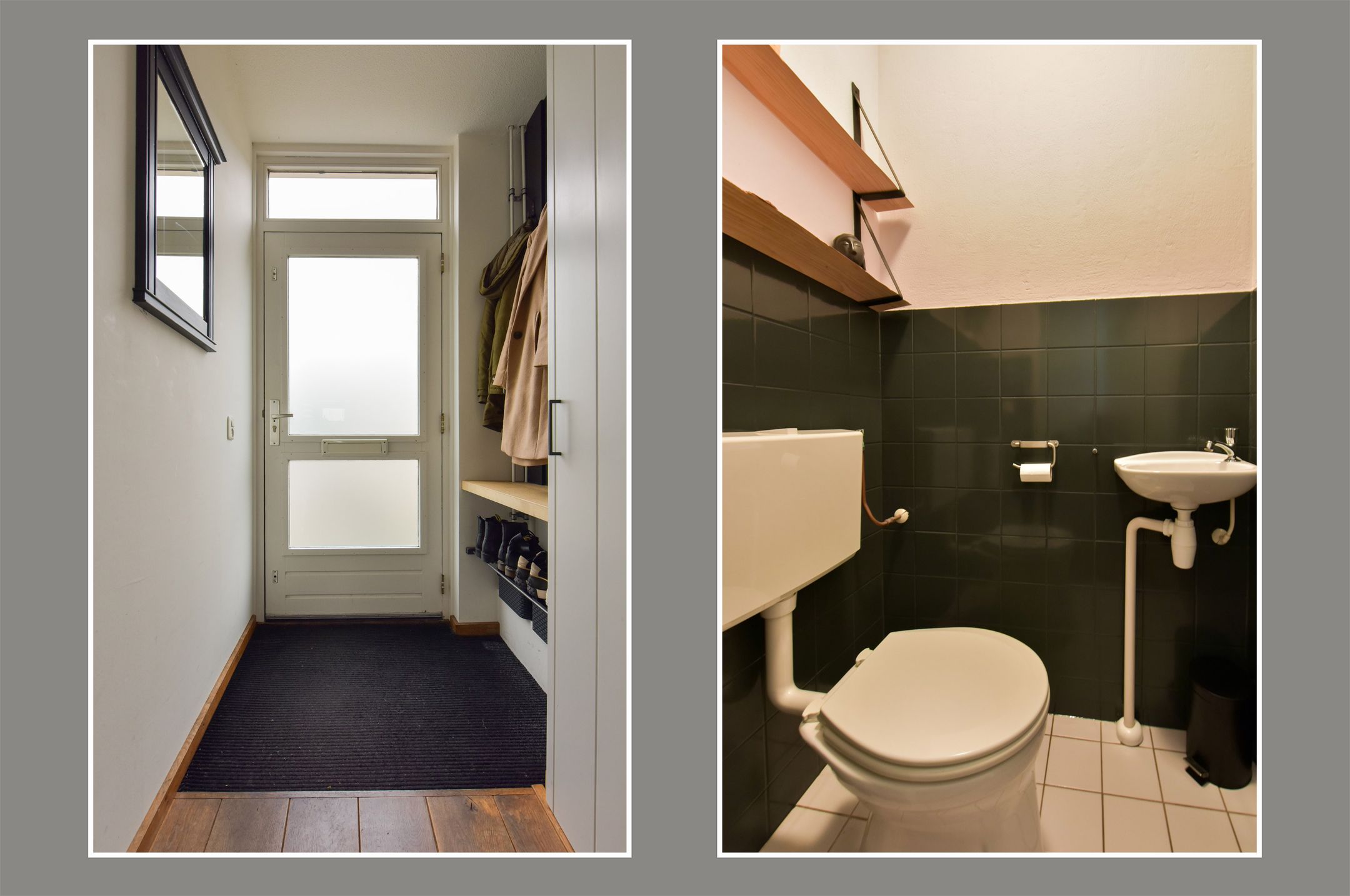 Foto 6 van Blauwe Zegge 56