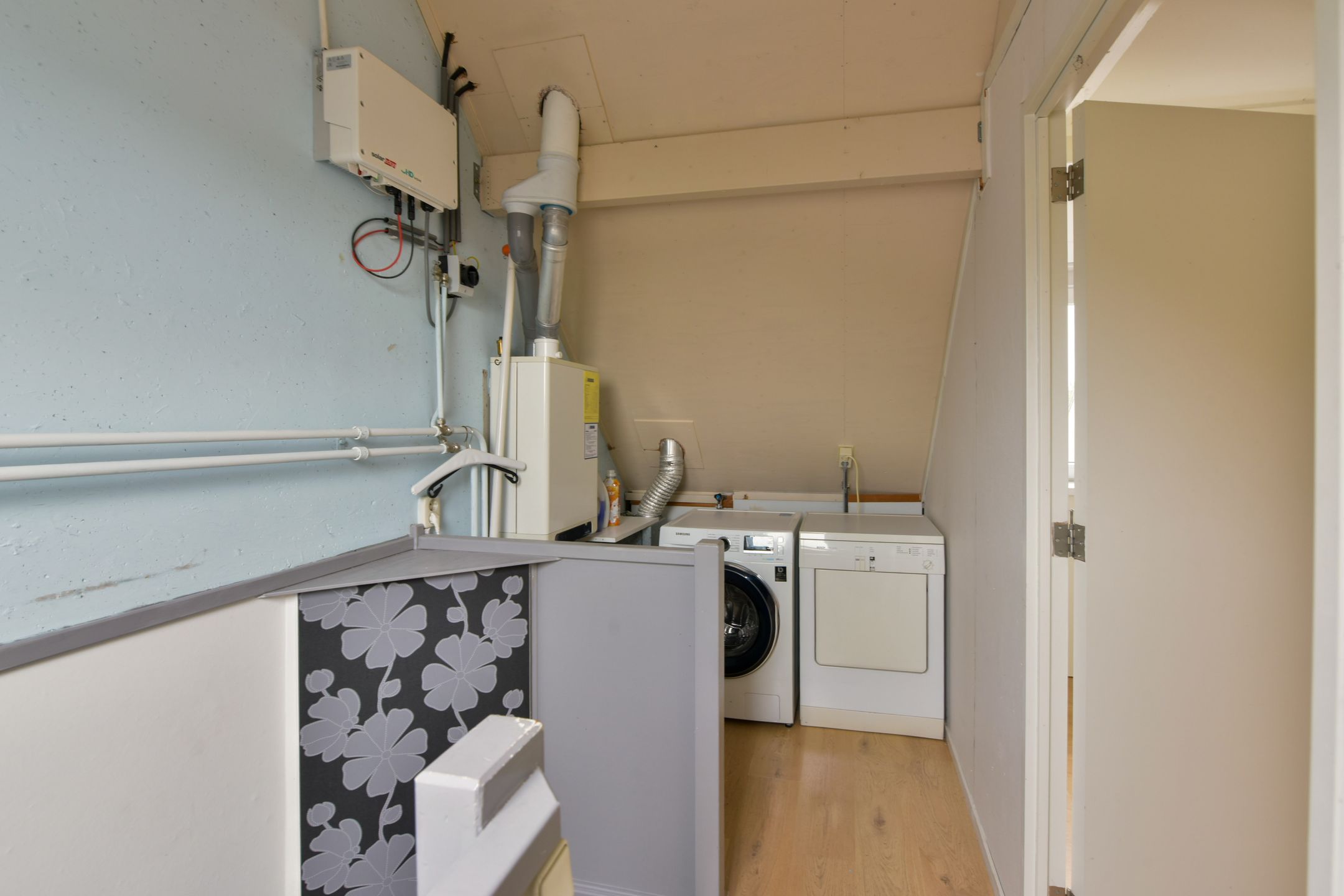 Foto 18 van Blauwe Zegge 56