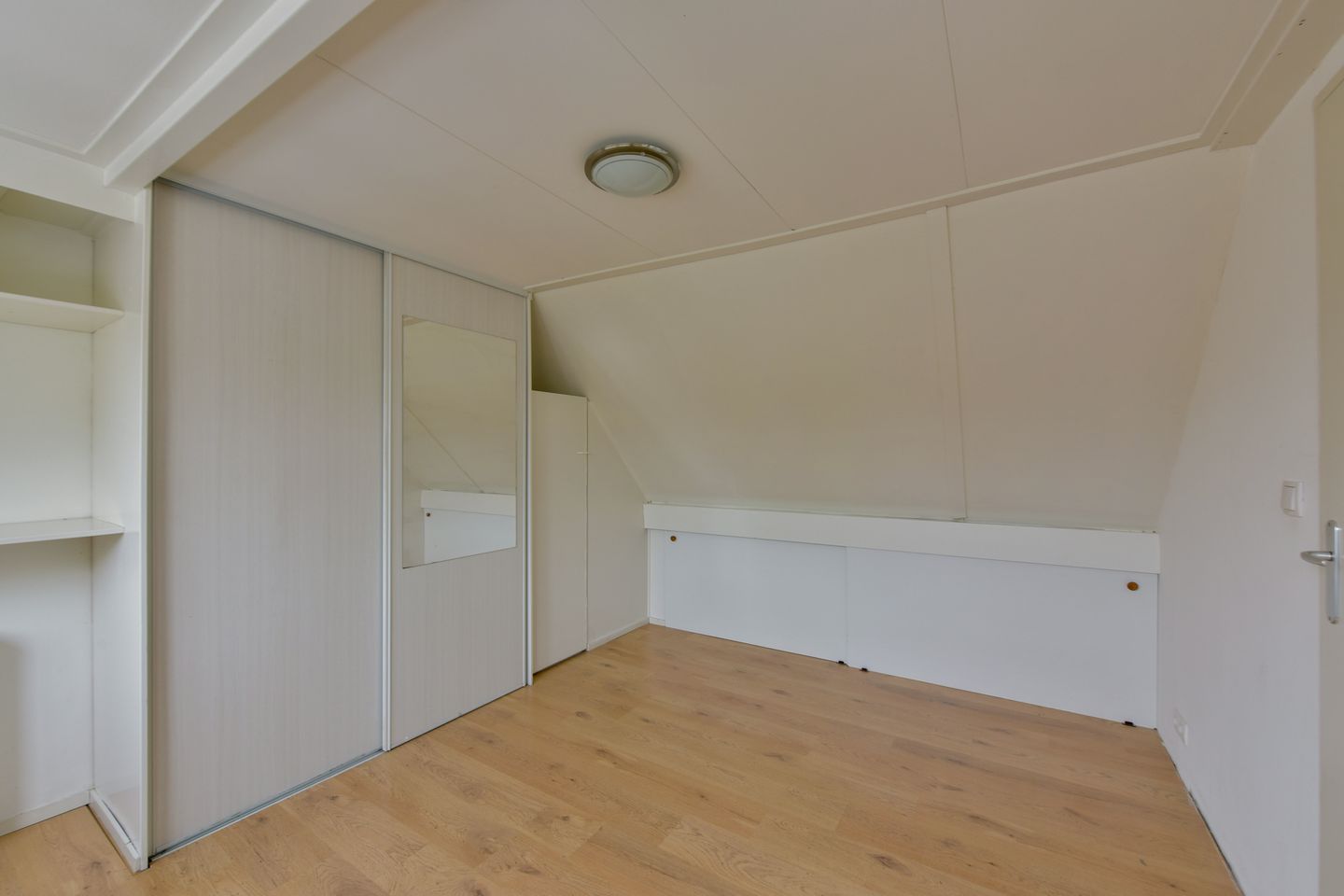 Foto 20 van Blauwe Zegge 56