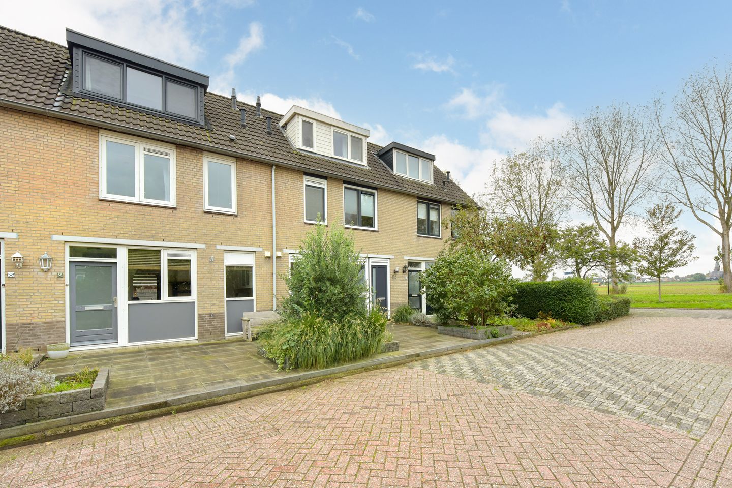 Foto 25 van Blauwe Zegge 56