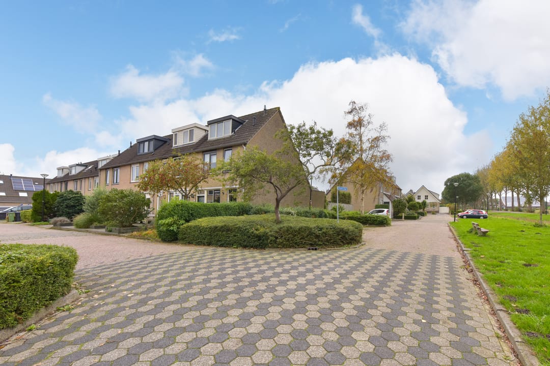 Foto 26 van Blauwe Zegge 56