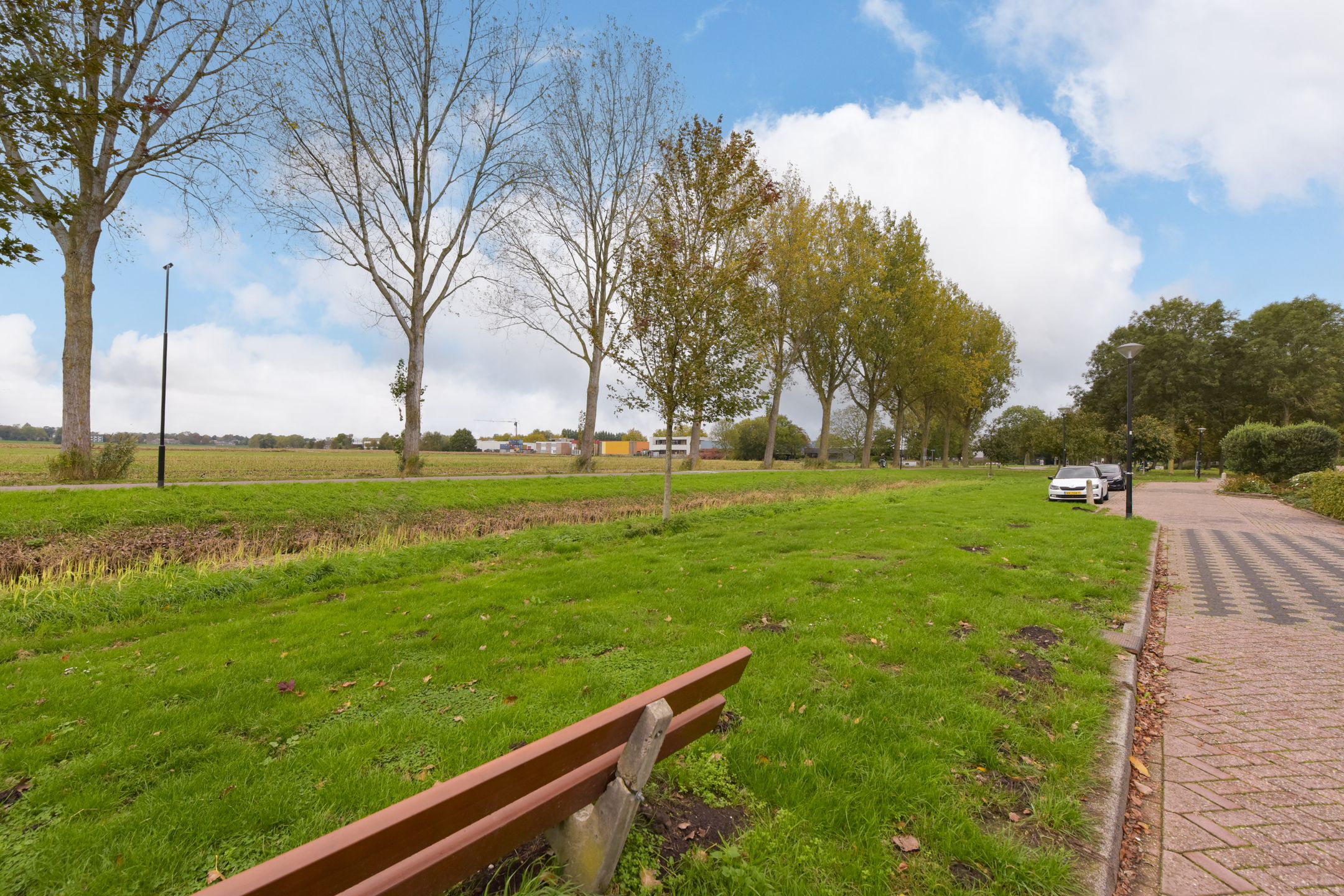 Foto 27 van Blauwe Zegge 56