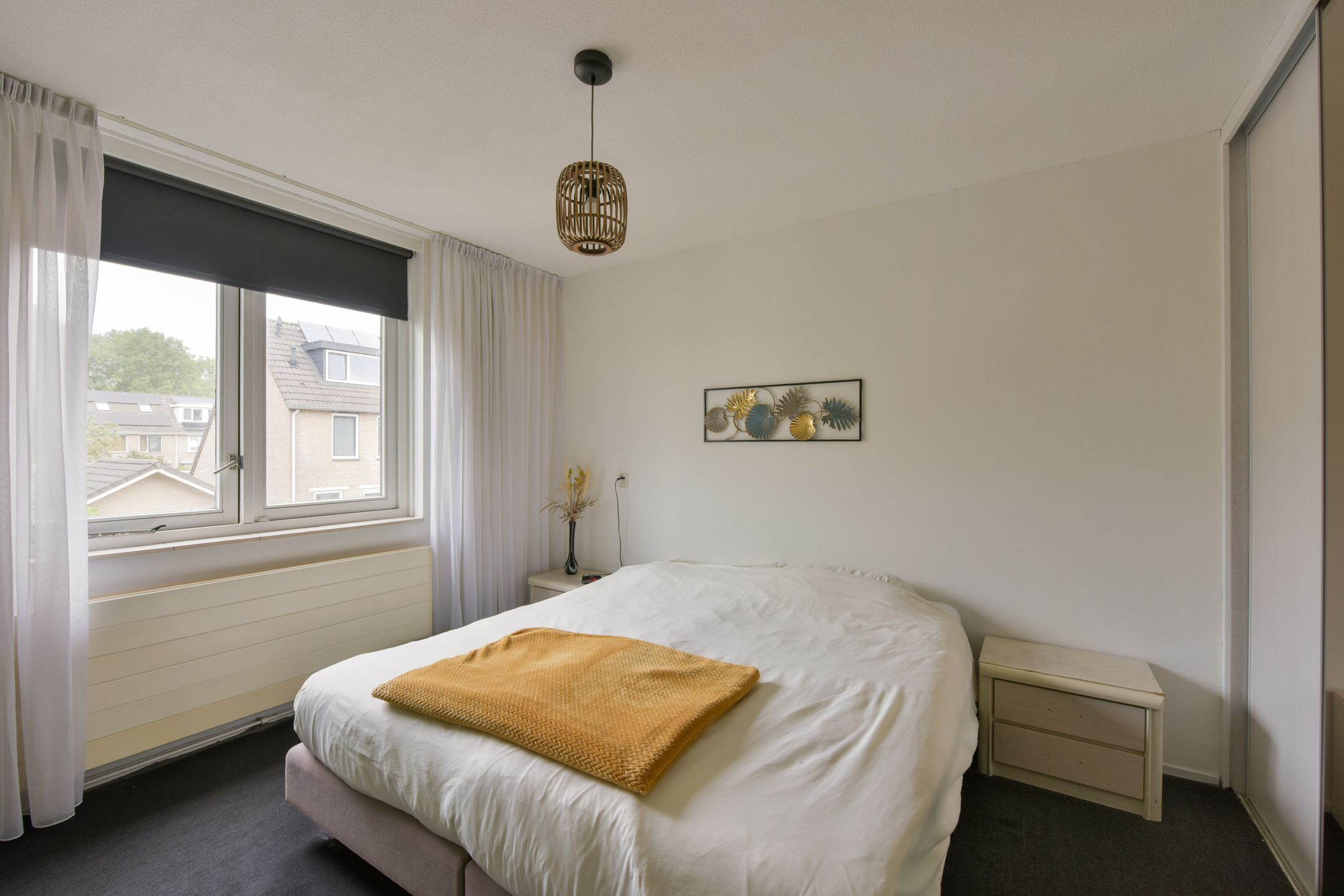 Foto 15 van Blauwe Zegge 56