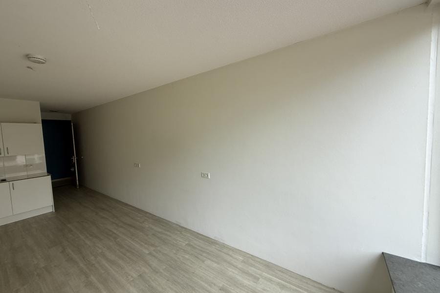 Foto 8 van August Allebéplein 932