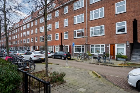 Paramariboplein thumbnail