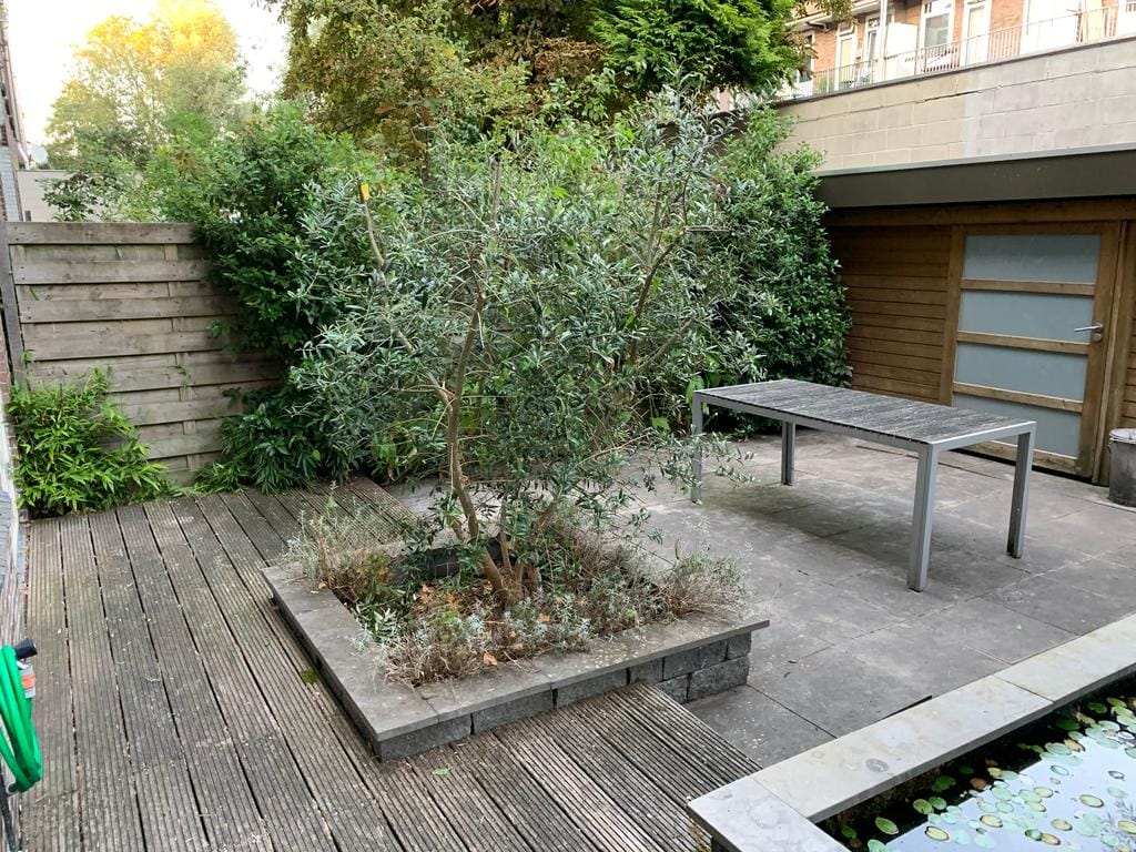 Foto 24 van Paramariboplein 24