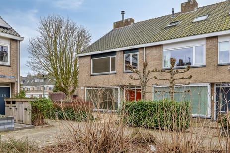 Anna van Burenstraat thumbnail