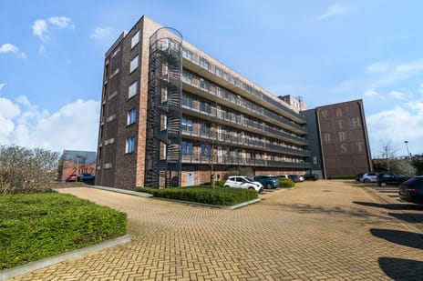 undefined main image