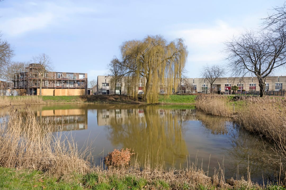 Foto 41 van Lammerweide 6