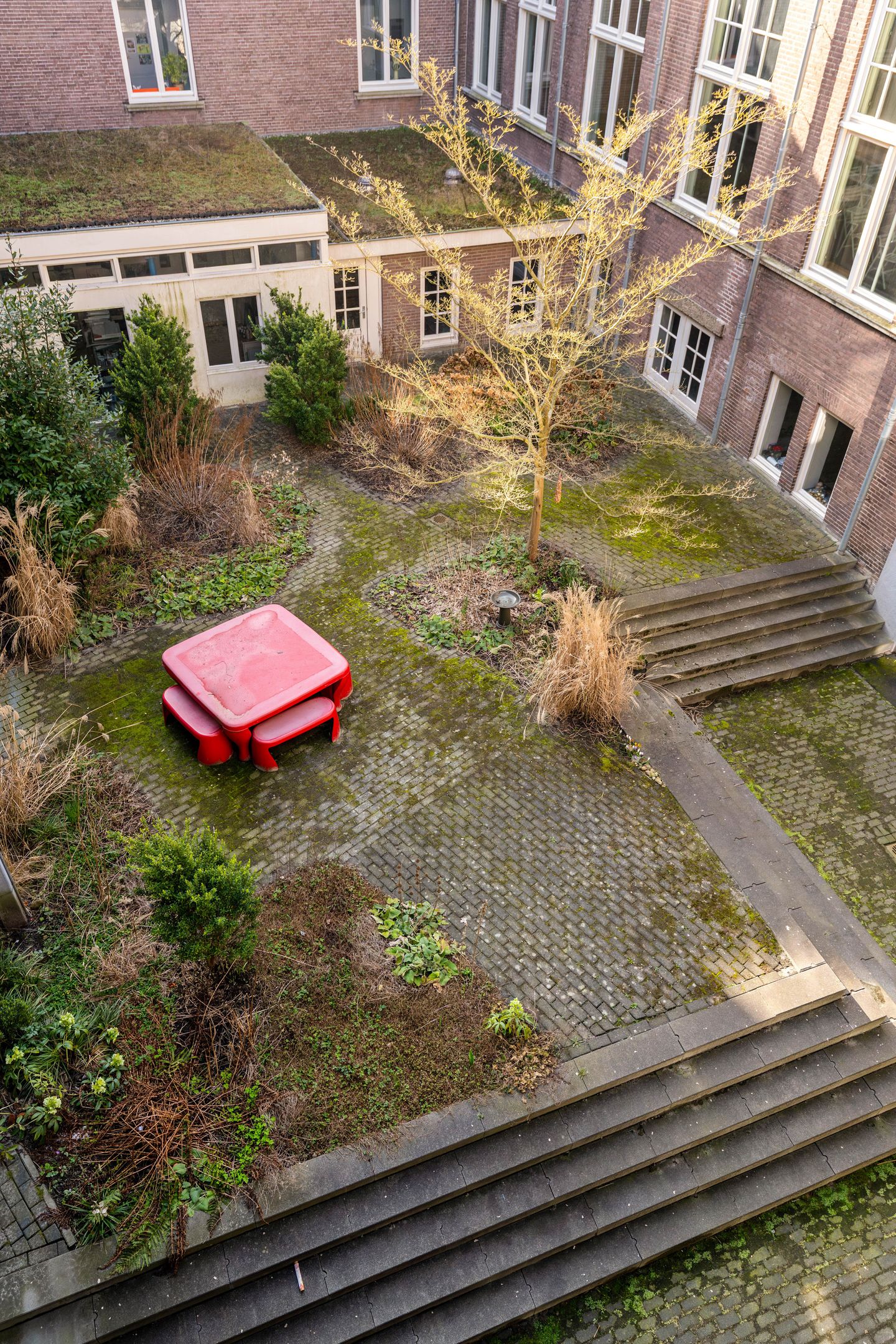 Foto 44 van Langestraat 240