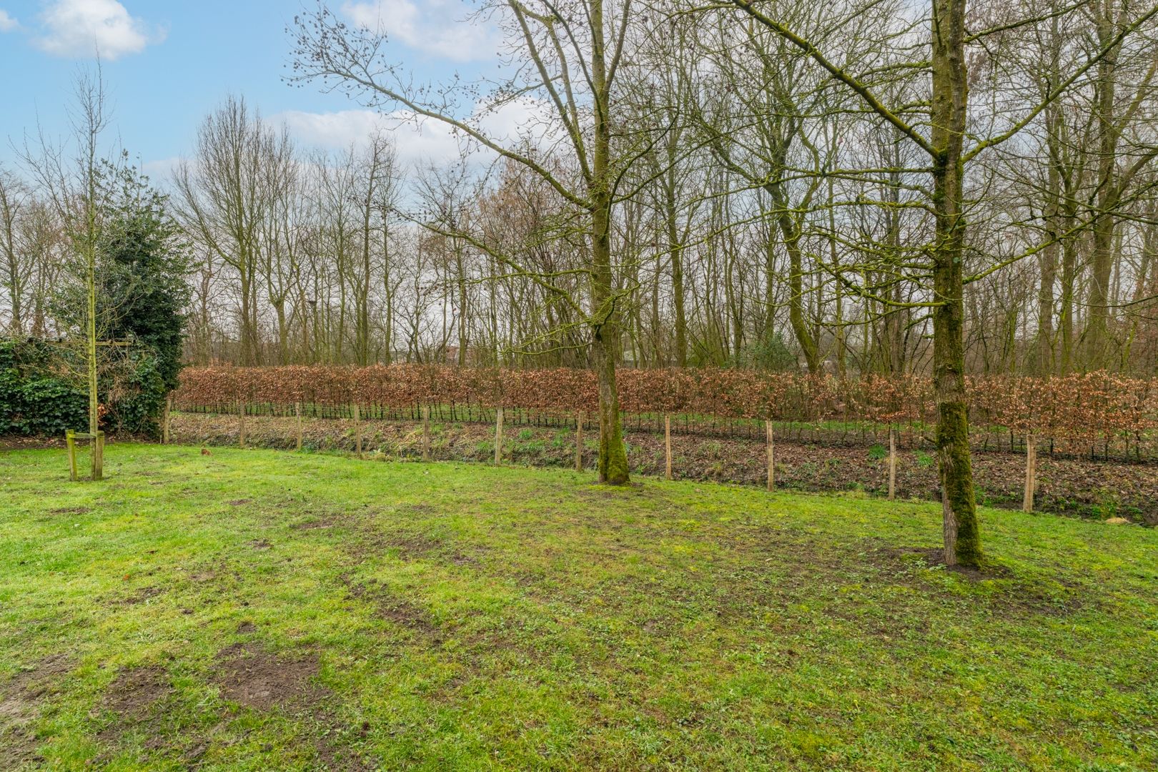 Photo 36 of Dokter van Vuurestraat 58