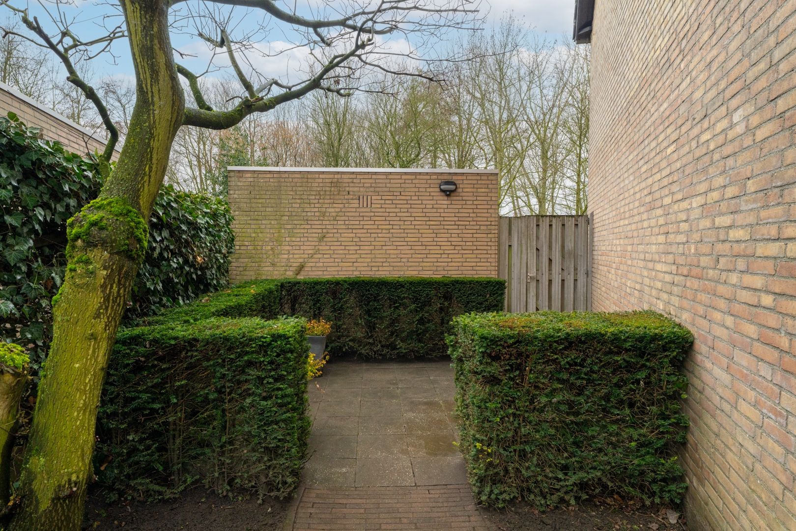 Photo 3 of Dokter van Vuurestraat 58