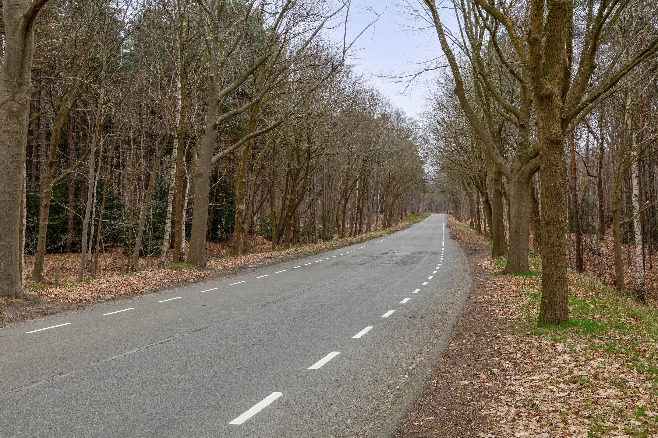 Photo 45 of Van Houtenstraat 44