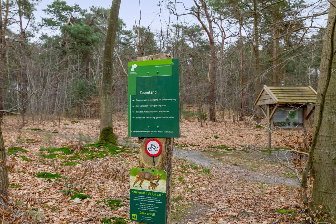 Photo 46 of Van Houtenstraat 44